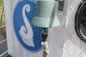 IMG_20220522_144841
