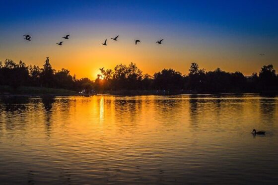 dawn dusk lake 164243_2 1